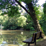 Resting place on the grounds of our Hospice House