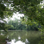 Beautiful view of one of the ponds on the campus of Hospice of Dayton