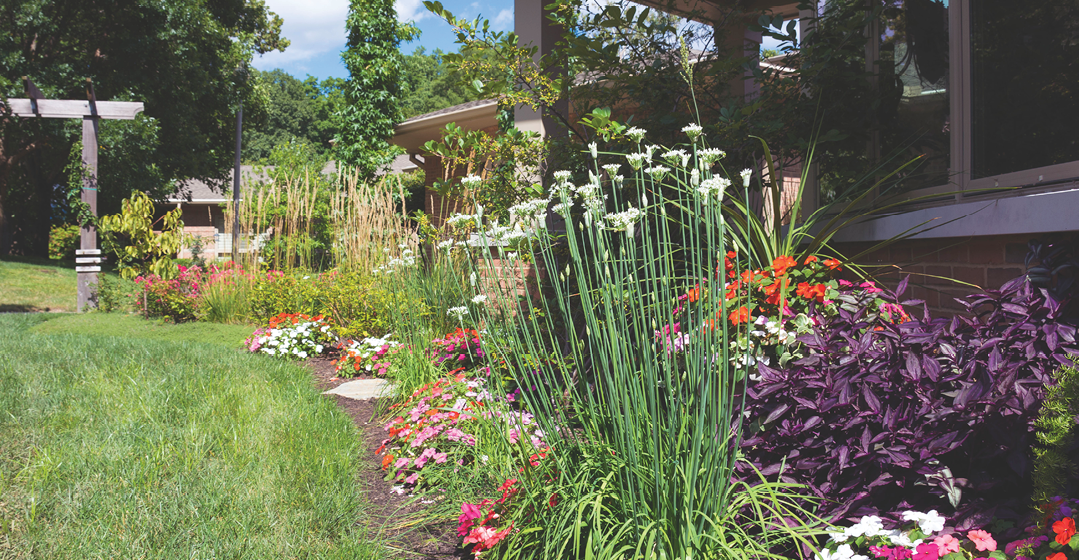 Cultivating Peace And Comfort