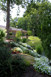 rock garden