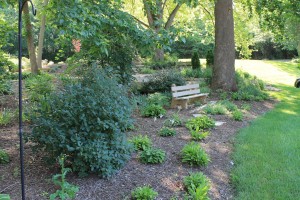 garden seat reduced