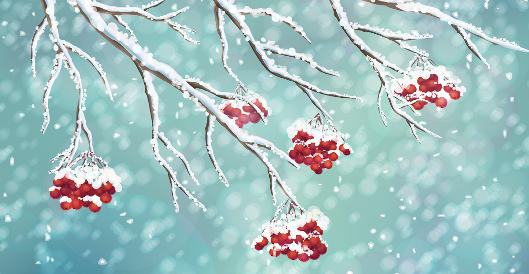 Holiday Grief Support