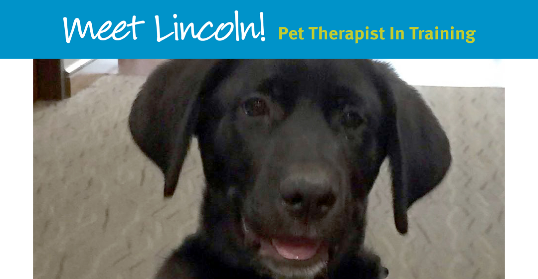 Lincoln Is Learning To Bring Laughter, Love And Quality Of Life