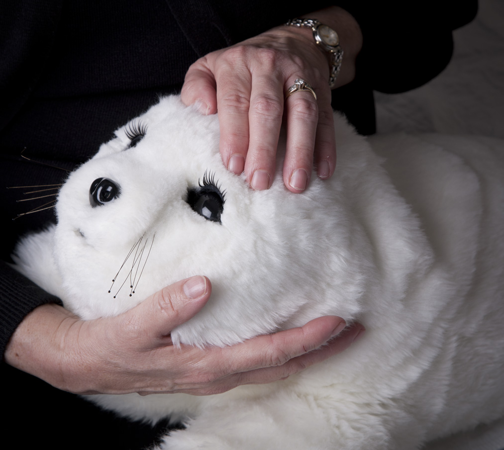 PARO – A Positive Substitute For Pet Therapy