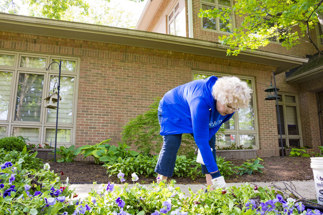 Nielsen Volunteer adds these vibrant flowers to our Hospice House gardens.